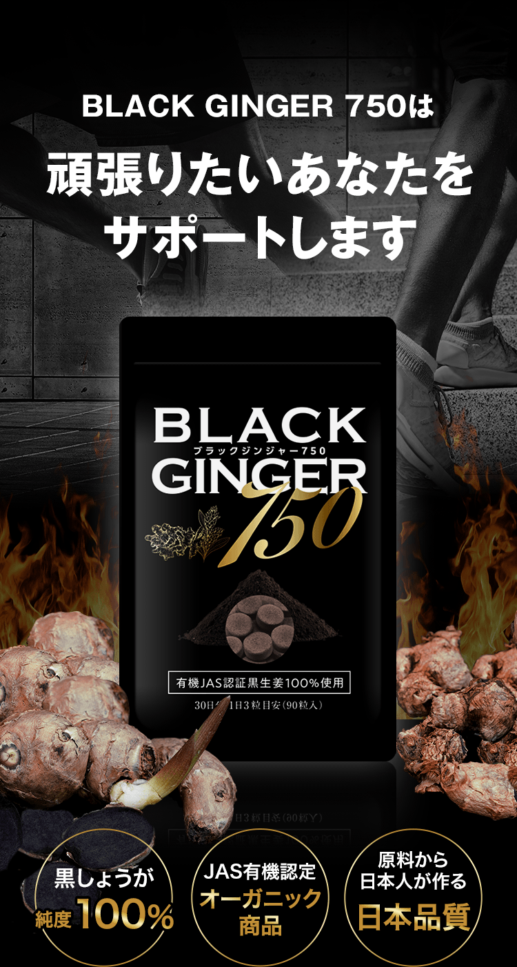 BLACK GINGER 750は頑張りたいあなたをサポートします